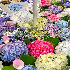 Ichinomiya’s Tanabata Festival, One of the Big Three