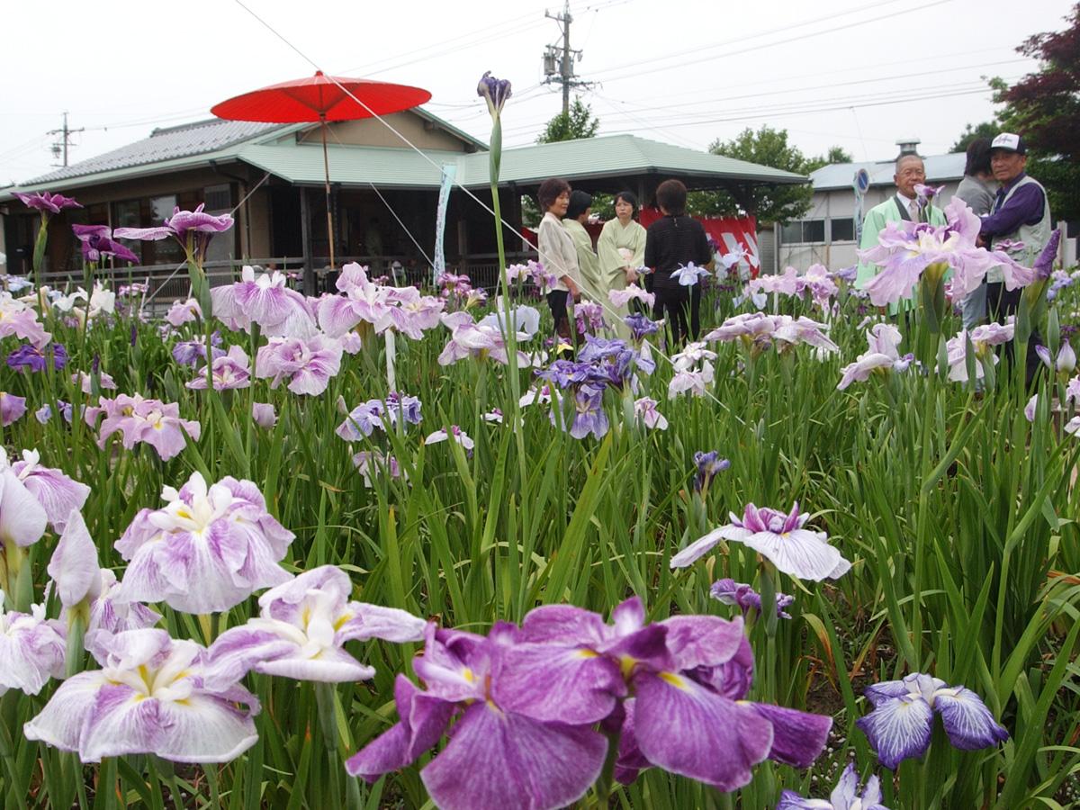 萬葉公園顕彰会