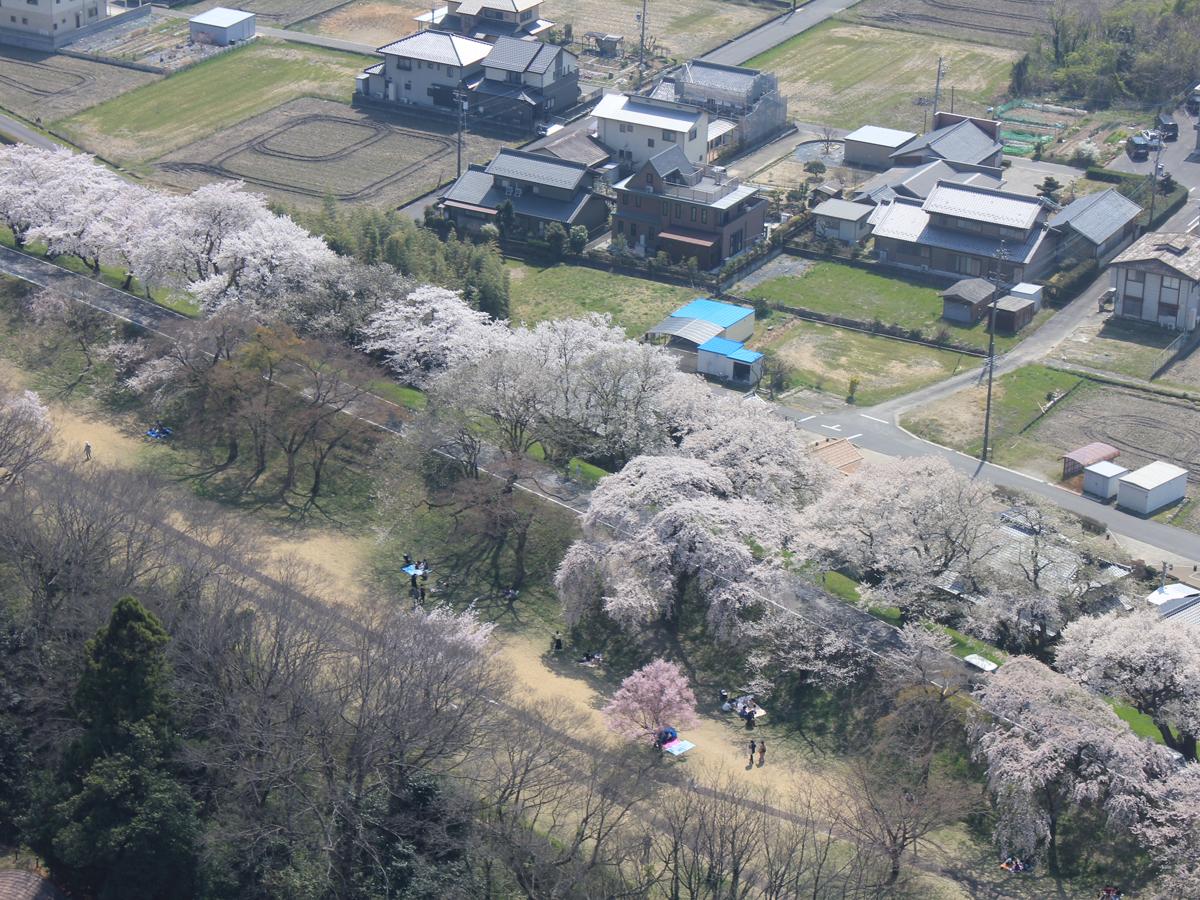 木曽川緑地公園