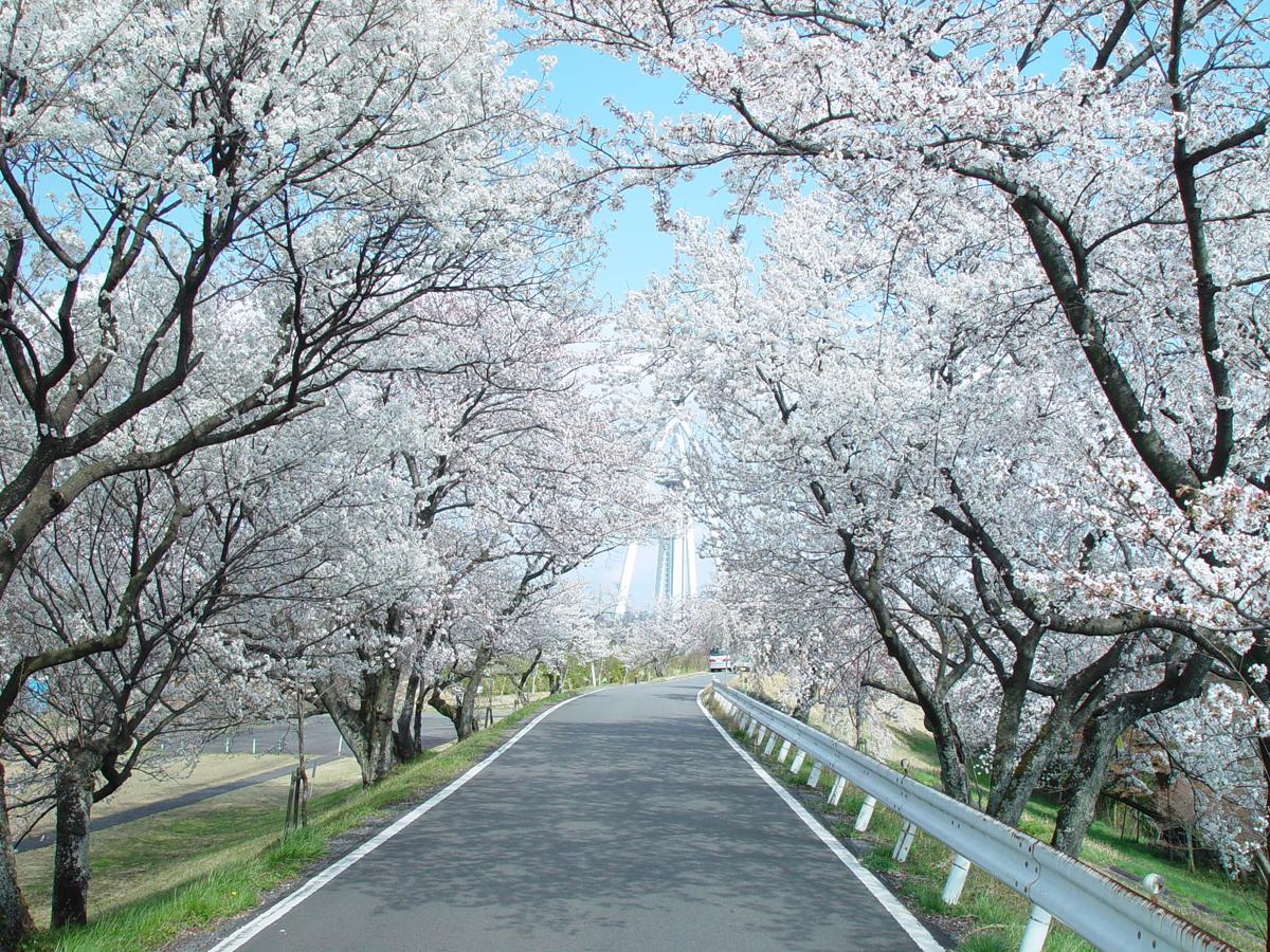 木曽川緑地公園