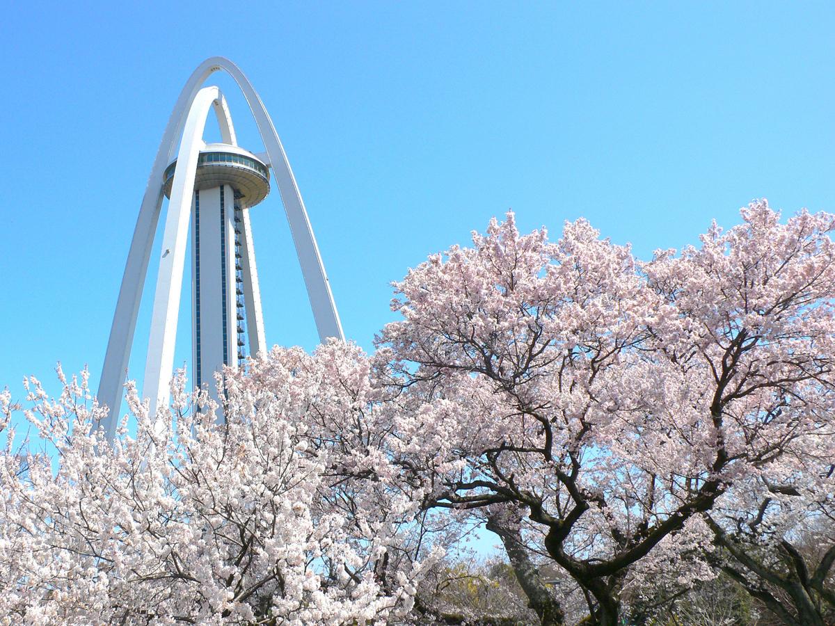 大きな公園でリフレッシュ旅