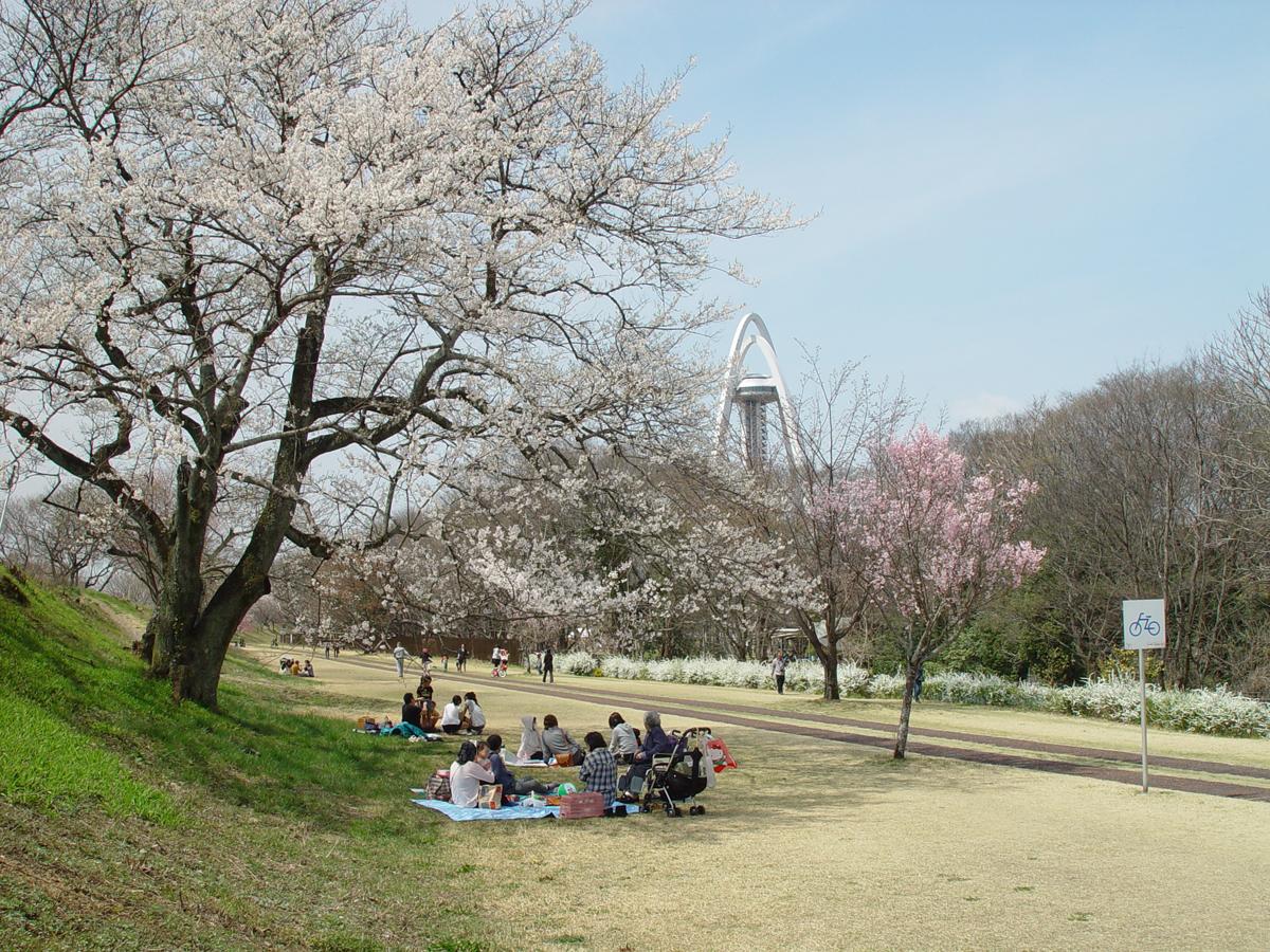 在大公園享受放鬆之旅