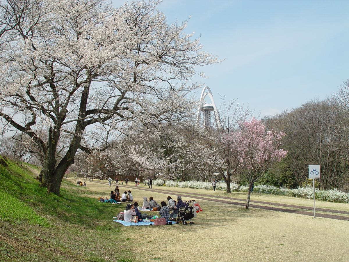 木曽川緑地公園