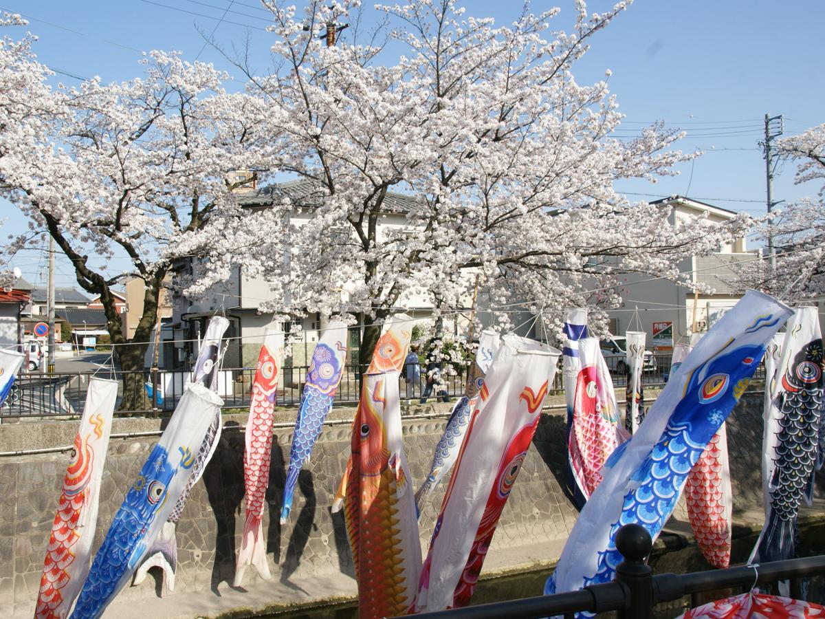 大江川緑道