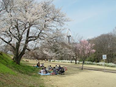 芝生公園ピクニックorBBQ