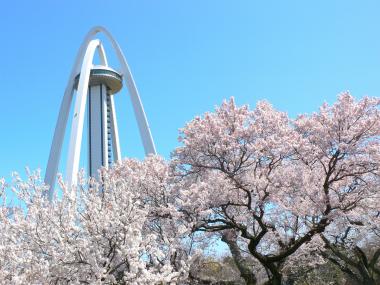 큰 공원에서 리플레쉬 여행