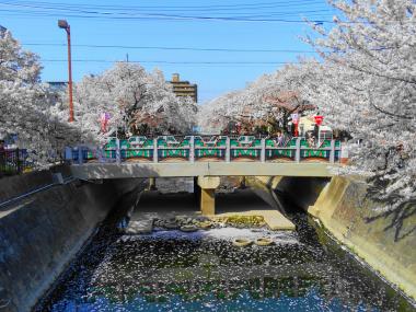 大江川緑道