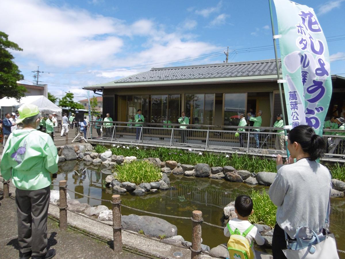 Hana-Shobu (Japanese Iris) Festival