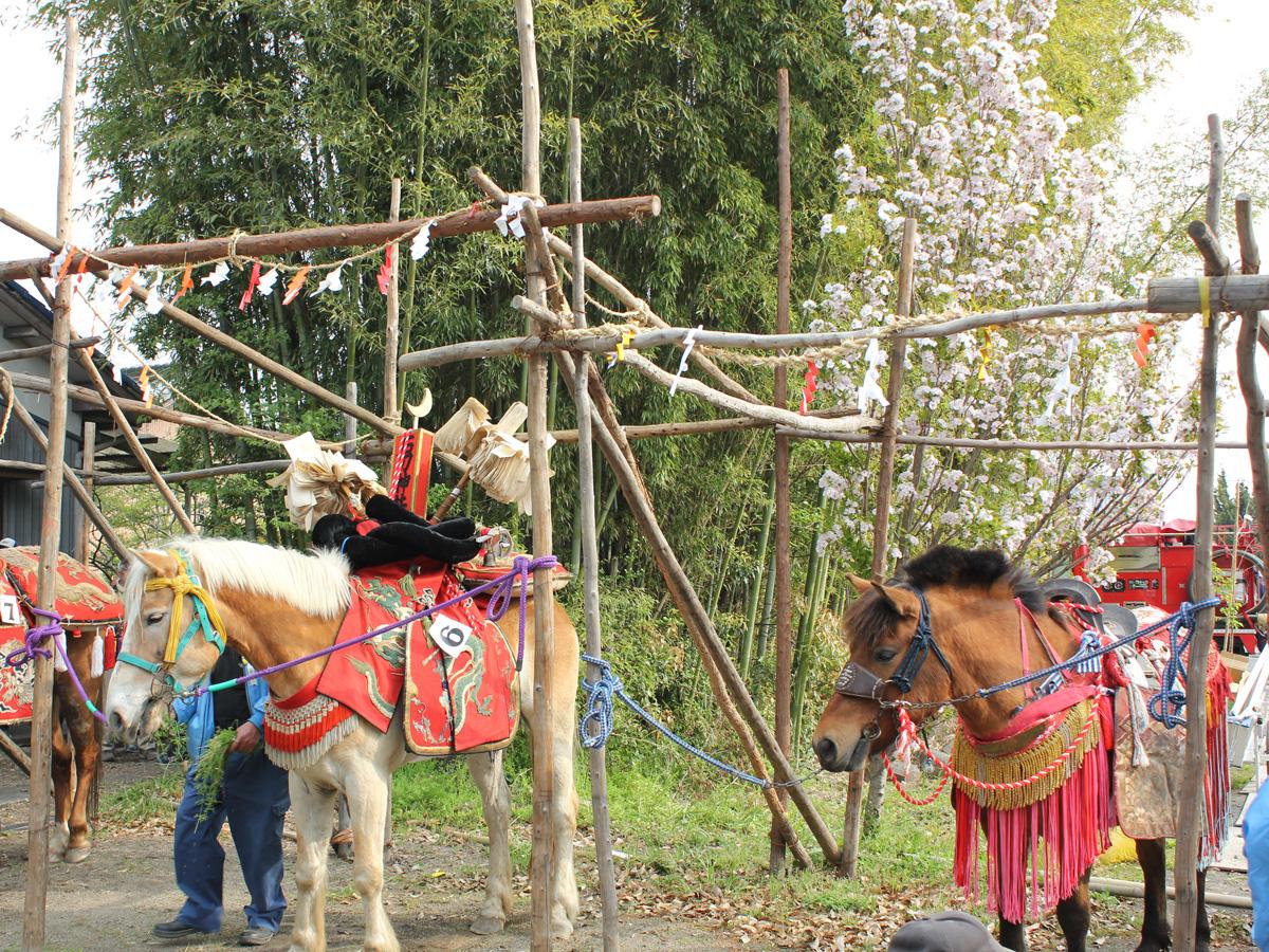 이와토 축제