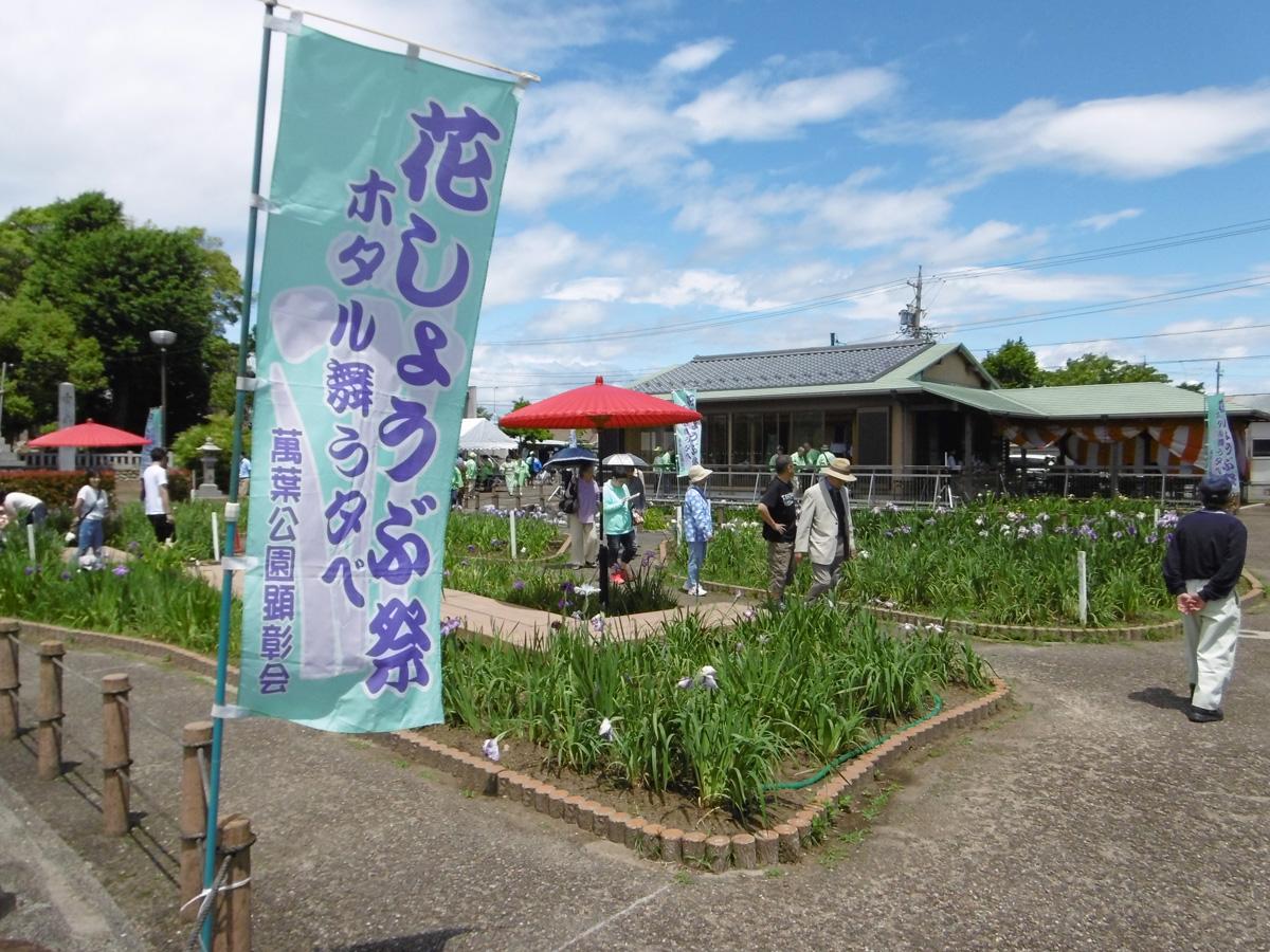 花菖蒲节