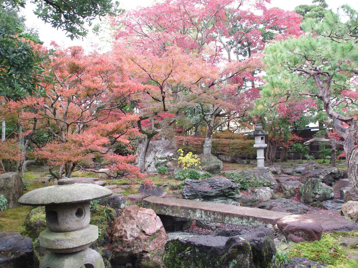 Momiji (Maple) Festival