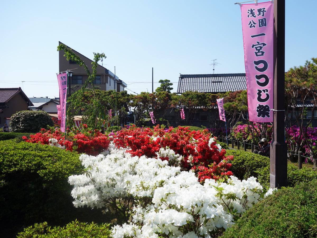 Ichinomiya Tsutsuji (Azalea) Festival