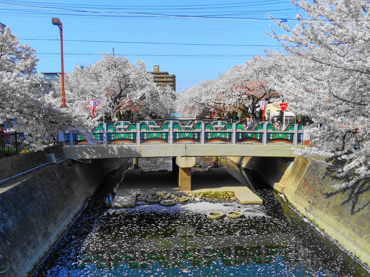 桜まつり