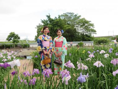 花菖蒲節