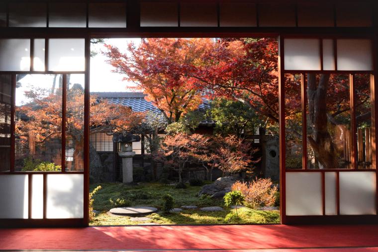 紅葉のおもてなし