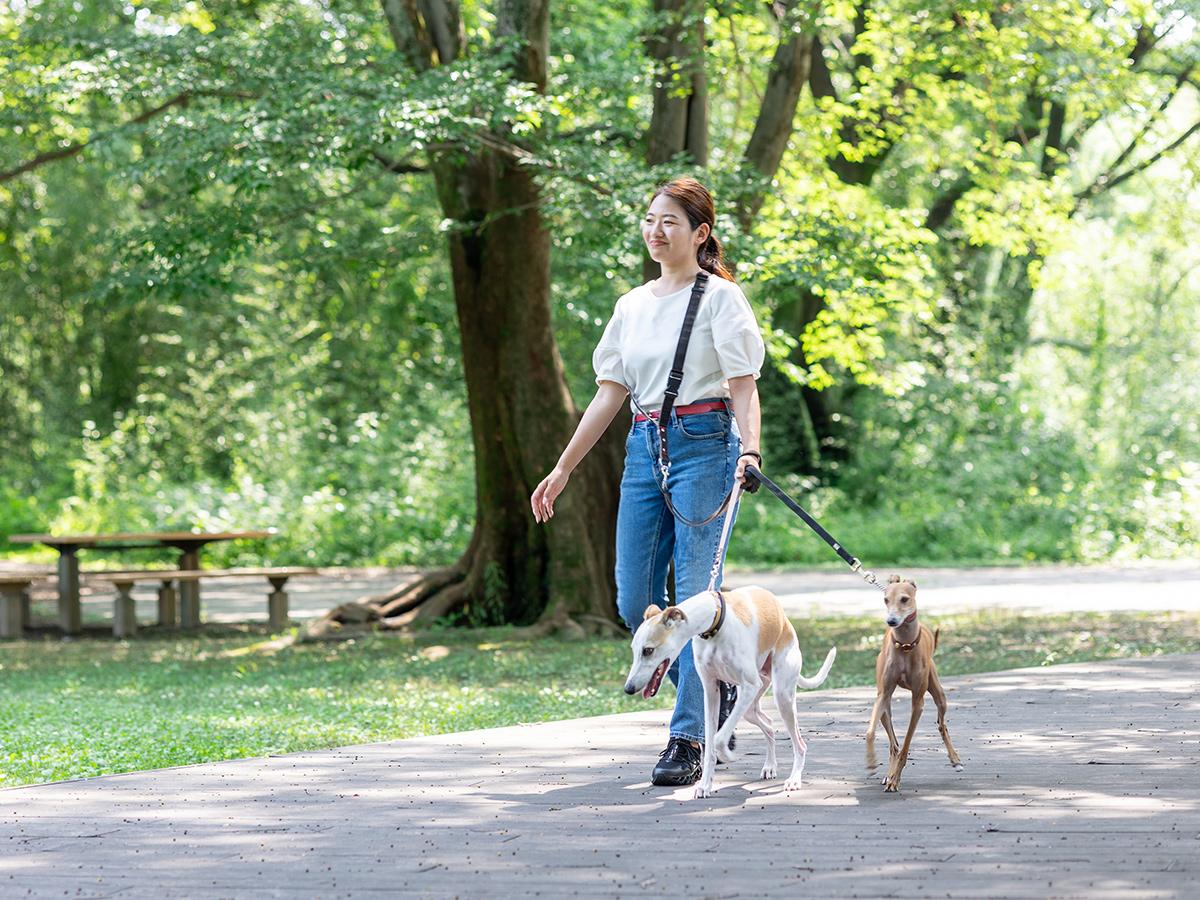 犬連れスポット特集