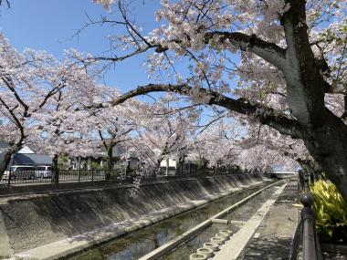 大江川緑道