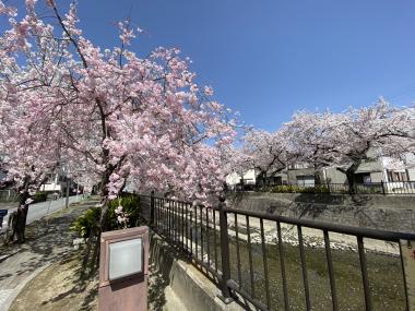 大江川緑道