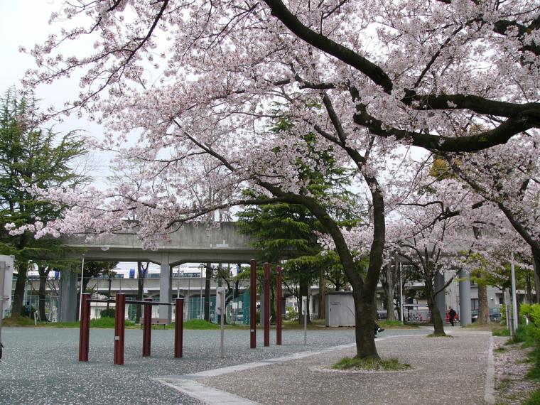 稲荷公園の桜
