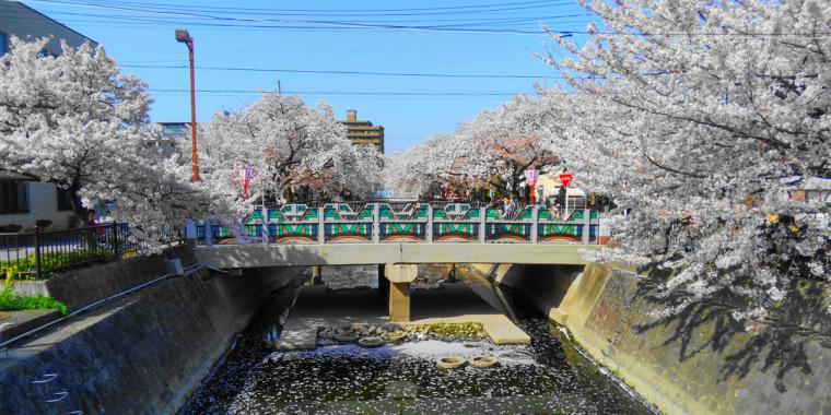 大江川