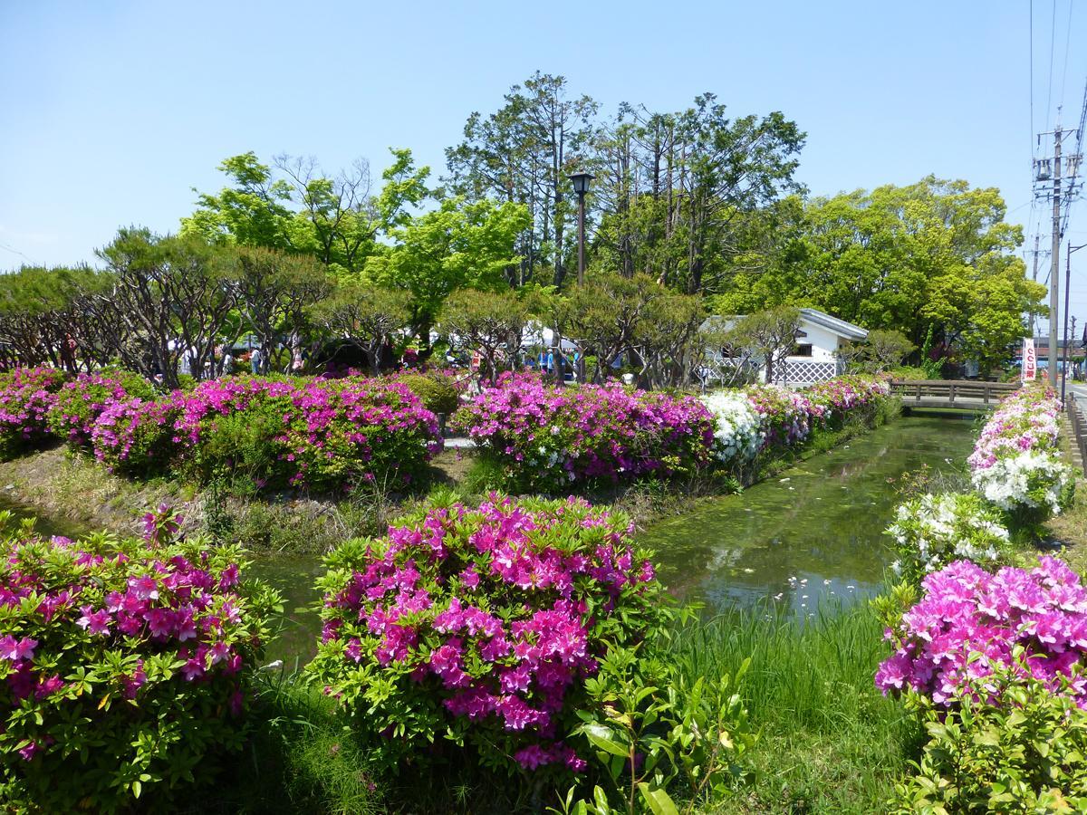 浅野公園