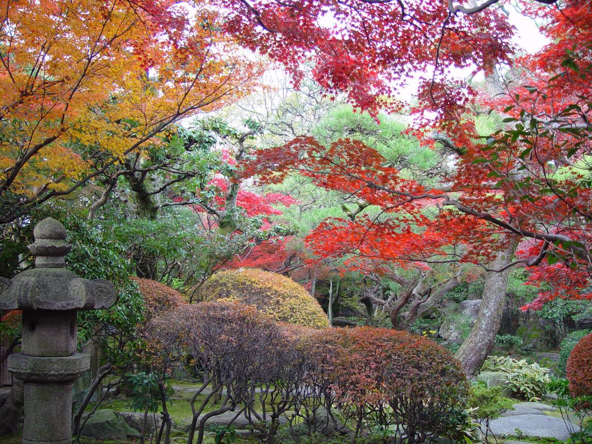 Historic Site of Okoshi Juku Waki Honjin