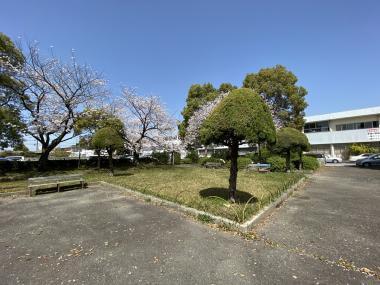 公園
