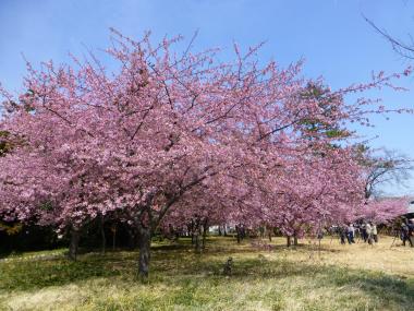 만요 공원