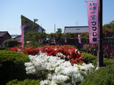 浅野公園