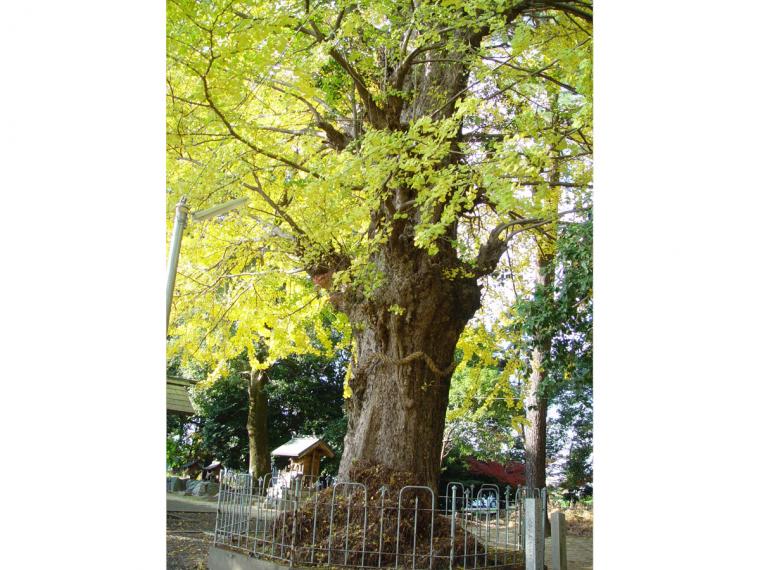 観光スポット 【公式】一宮市の公式観光サイト IchinomiyaNAVI