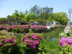 Asano Park