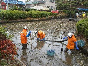 一宮市ロケ情報【日曜ビッグバラエティ】